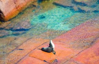 Streaky Bay