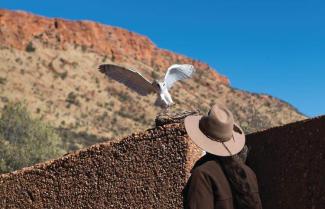 Alice Springs