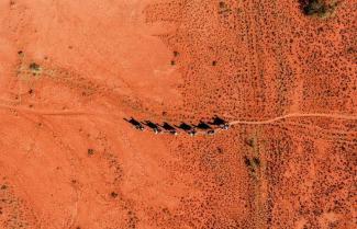 Alice Springs