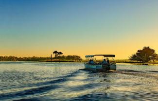 Arafura Swamp Boat Tour