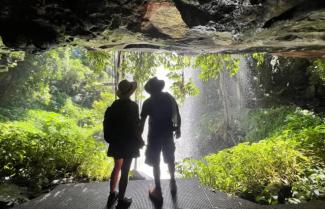 Dorrigo National Park Credit: Intrepid Travel