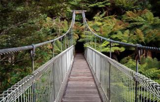 Corrigan Suspension Bridge Credit: Intrepid Travel