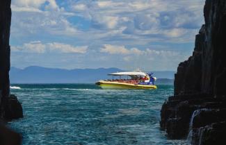 Bruny Island Wildlife Cruise