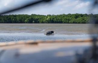 Weipa Mangroves Credit: Intrepid Travel