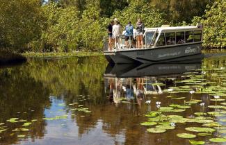 Noosa Everglades