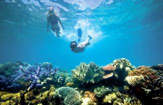 Snorkelling in Australia
