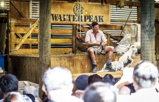 Walter Peak Farm Tour
