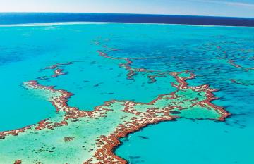 Barrier Reef