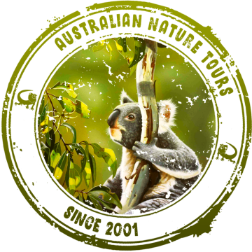 Nature Tours