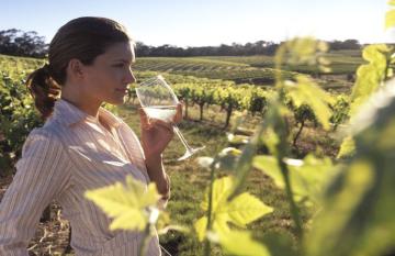 Margaret River Wine Tasting