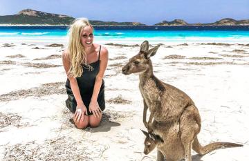 Kangaroo Australia