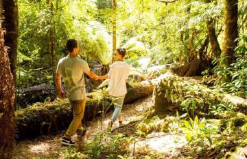 tarkine
