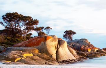 2 week tasmania trip