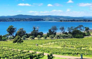 Tamar Valley Wine Tours