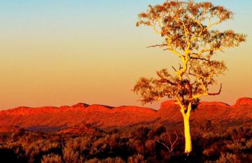 Macdonnell Ranges