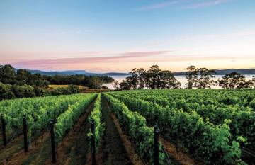East Coast Wine Country