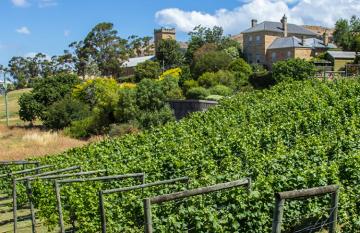 richmond is a base from which to explore the Coal River Valley