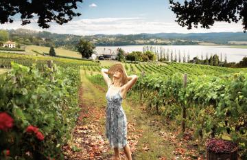 Wine touring in the Tamar Valley