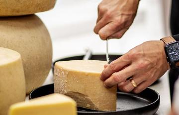 Hard cheese slicing in Tasmania