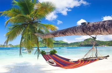 Relax and unwind in Fiji's tropical paradise