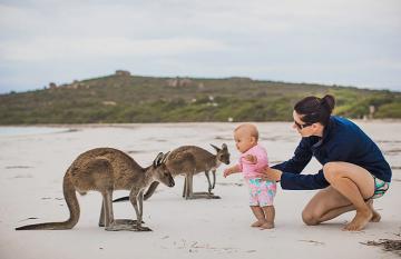 Cape Le Grand kangaroos meet baby on the beach