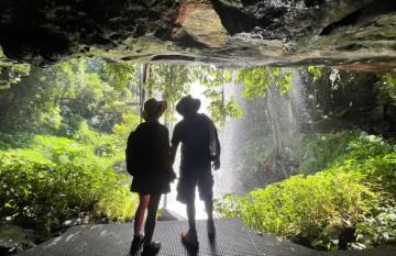 Dorrigo National Park Credit: Intrepid Travel